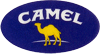 Camel oval
