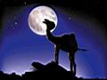 Joe Camel Mond