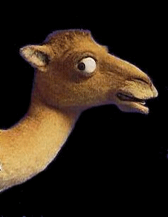Joe Camel von links animiert